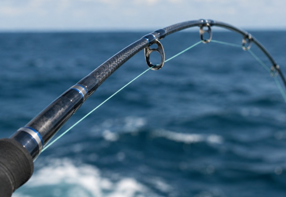 How To Match Fishing Rod Power, Action, And Line Rating To Florida Offshore Species