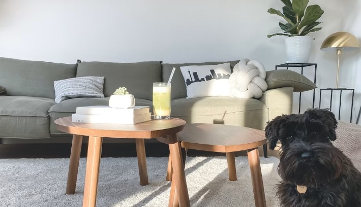 Exploring Carpet Retailers and Design Trends in Singapore