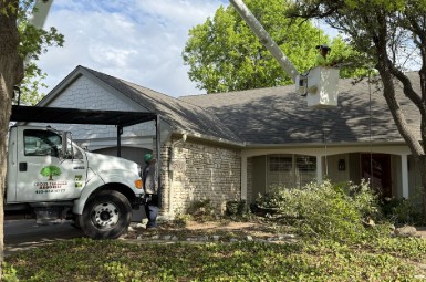 7 Best Tree Trimming Companies In The Oklahoma City Metro Area