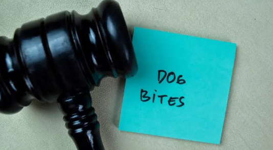 Dog Bites at Work: Distinguishing Between Workers’ Comp and Third-Party Claims