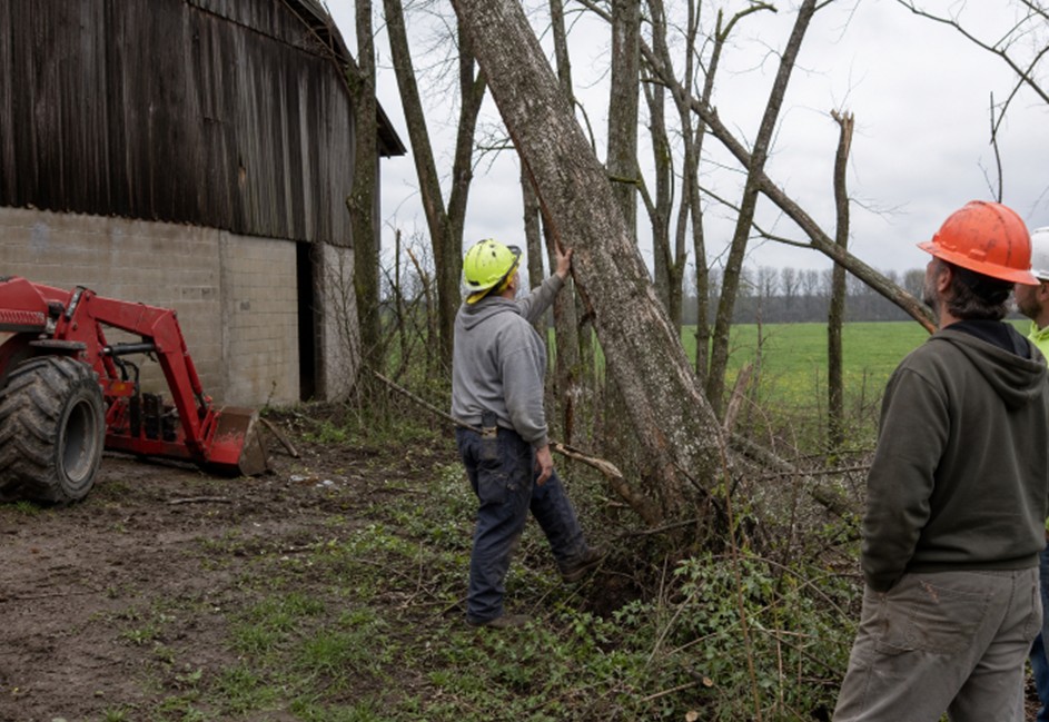 5 Essential Resources For Princeton, Indiana Tree Removal And Windbreak Renewal