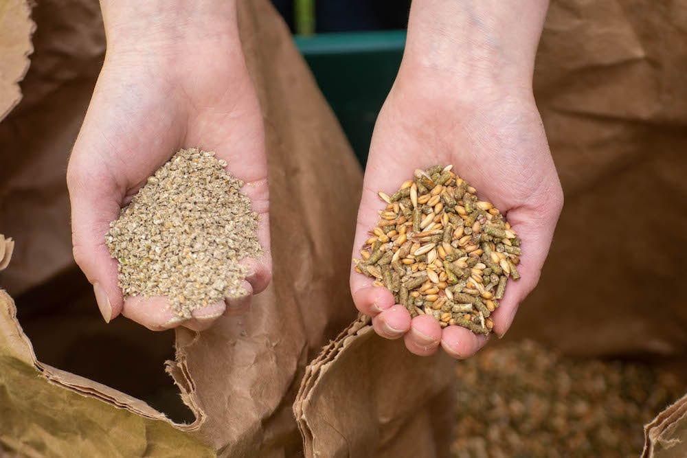 Pellets vs. Textured Feed vs. Whole Grains: Which Animal Feed Format Is Right for Your Farm?