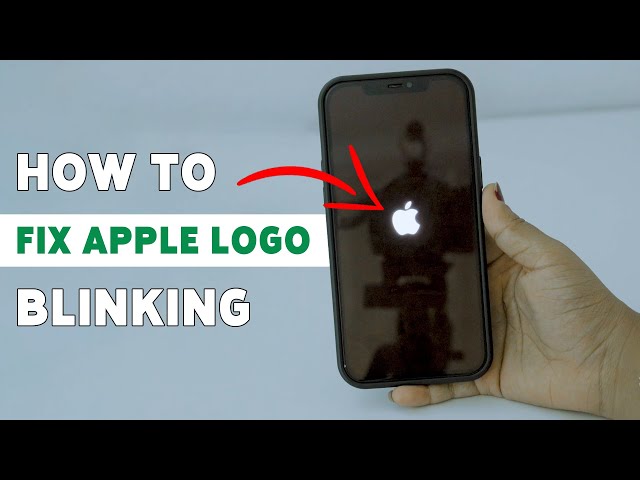 Apple Blinked, and It Was the Right Call